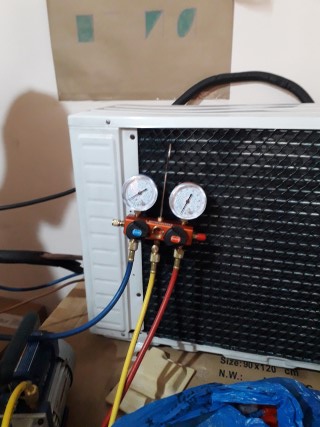 20190226_120219 (Mobile).jpg