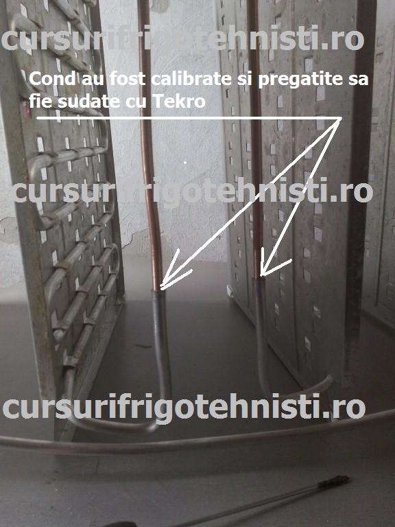 IMG_20150105_104824 (Custom).jpg