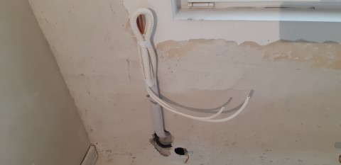 20190301_152251 (Mobile).jpg