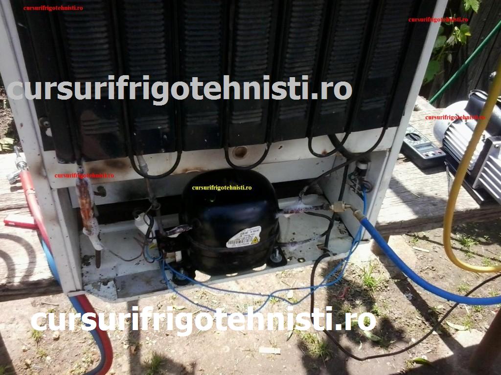 inloc comp la un Arctic (Custom).jpg