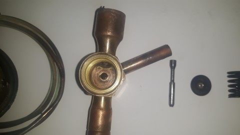 20190325_094034 (1) (Mobile).jpg