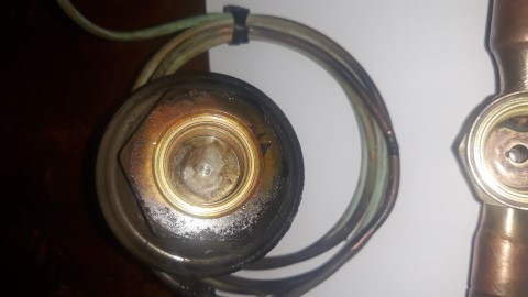 20190325_094044 (Mobile).jpg