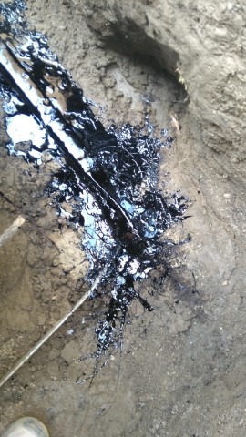 unnamed (2) (Mobile).jpg