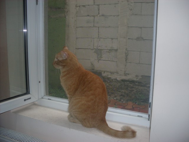 Cel mai tare electrician.JPG