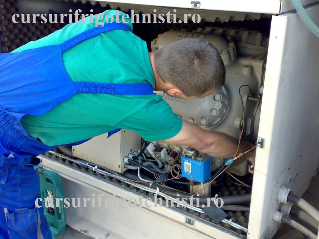 08052012203 (Custom).jpg