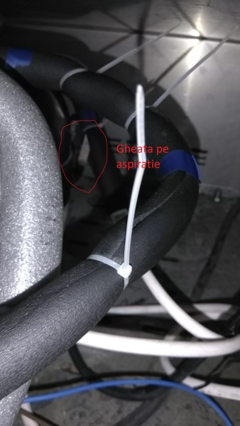 IMG_20190824_163941 (Custom).jpg