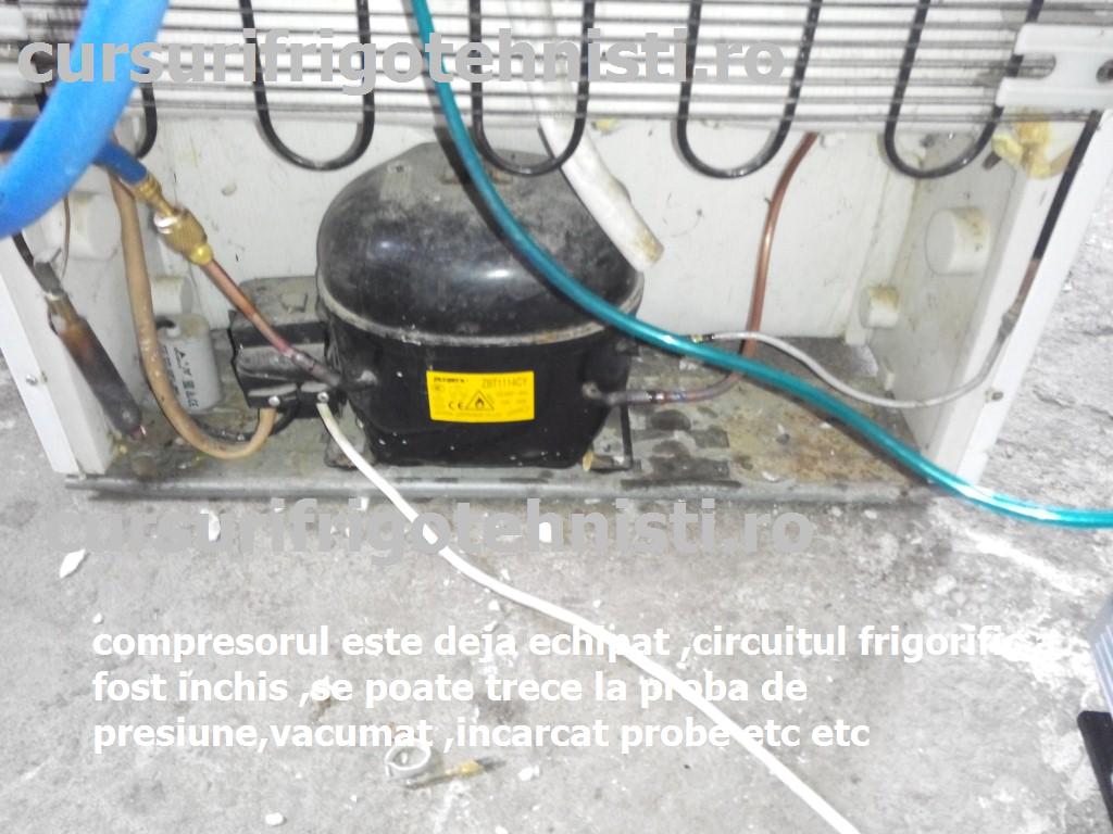 IMG_20150105_115421 (Custom).jpg