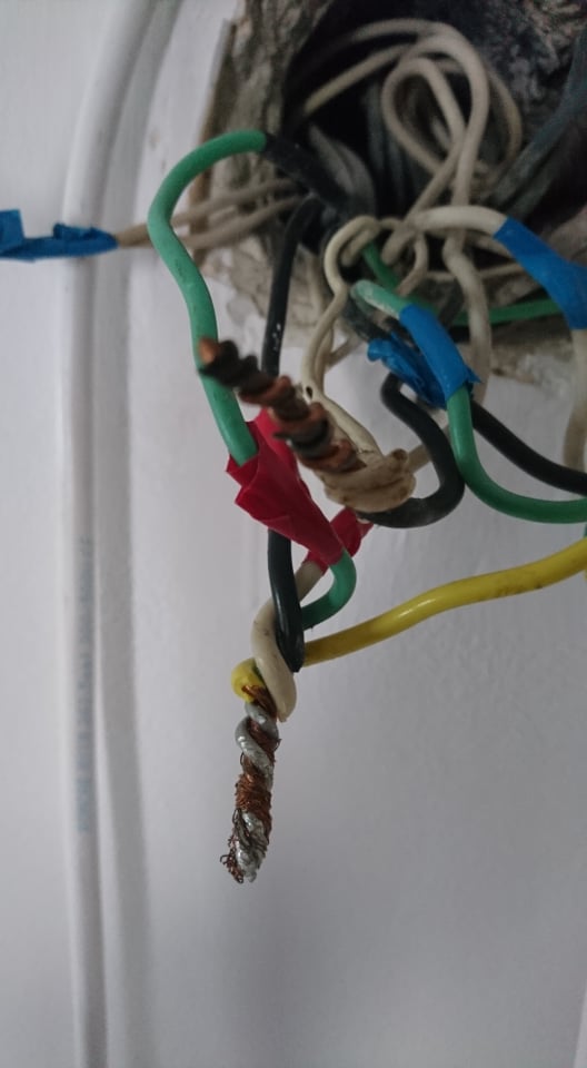 67502995_1111998039009139_4330866200323031040_n.jpg