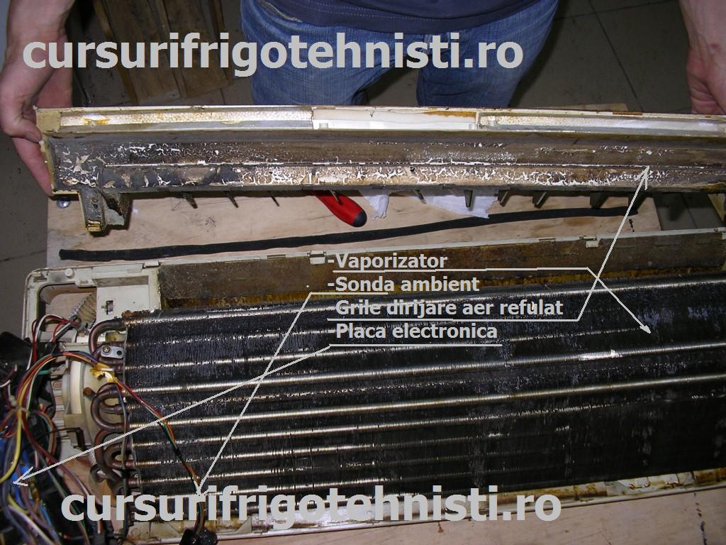 Ce am gasit in el.jpg