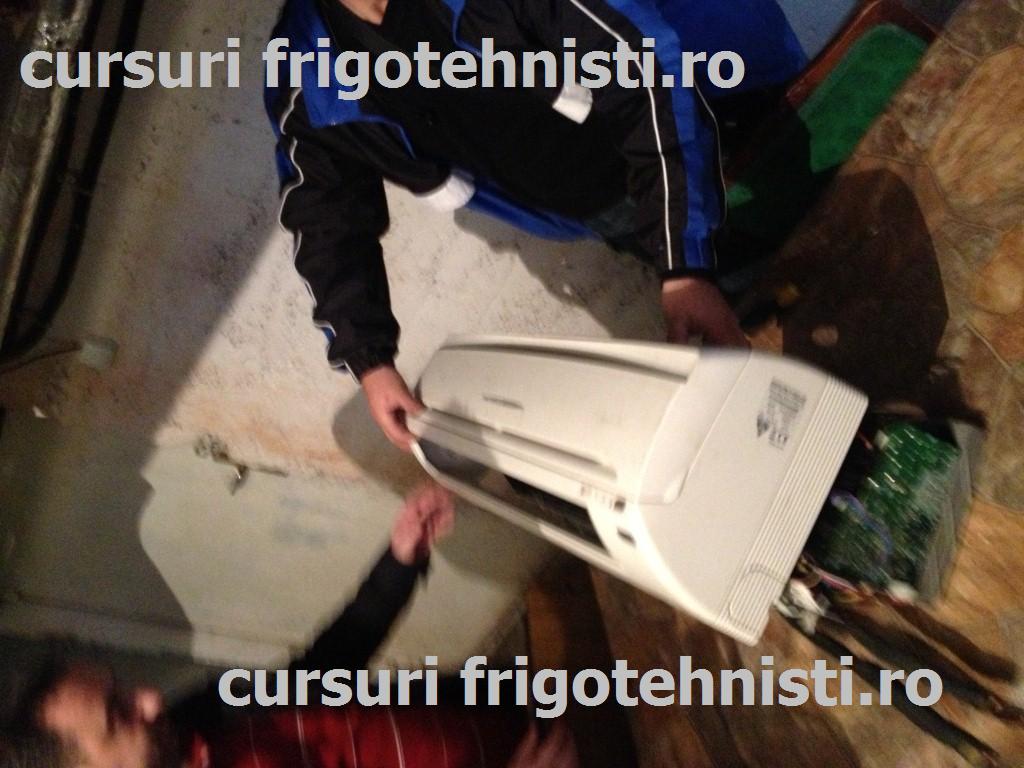 IMG_3365 (Custom).JPG