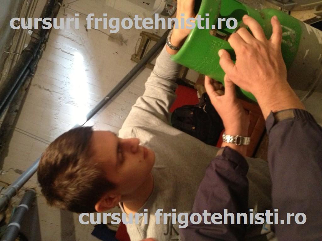 IMG_3363 (Custom).JPG