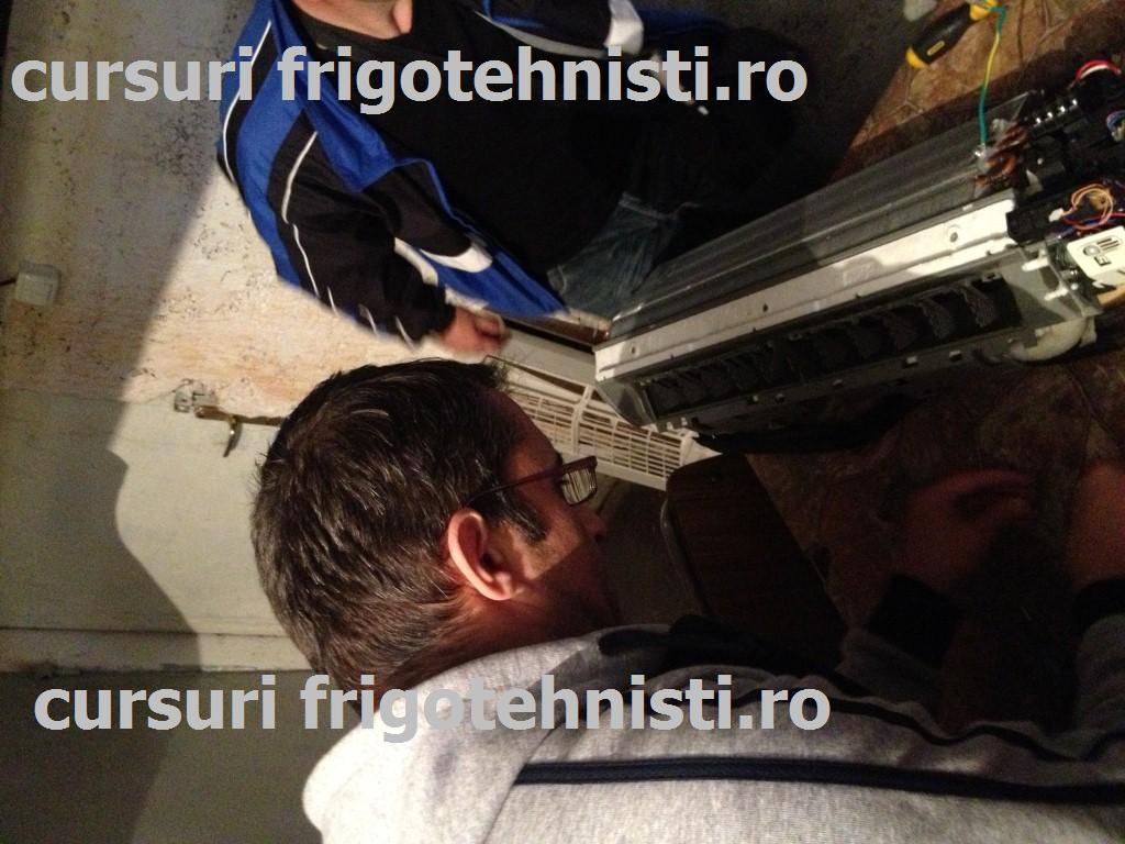 IMG_3362 (Custom).JPG