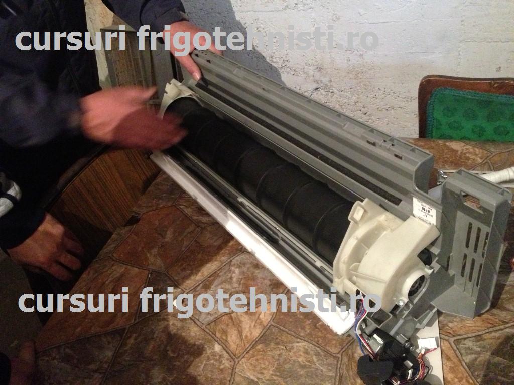 IMG_3357 (Custom).JPG