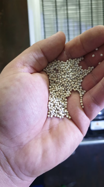 FILTRUL VECHI GRANULELE DE SILICAGEL SUNT OK.jpg