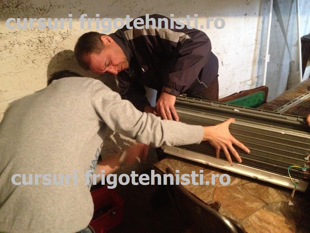 IMG_3353 (Custom).JPG