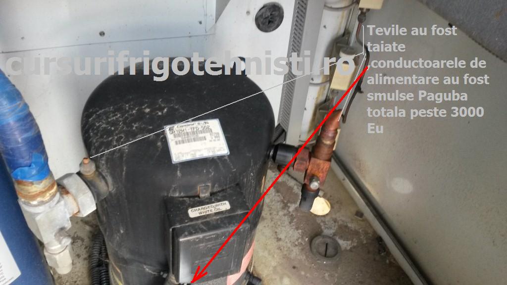 20150416_113118 (Custom).jpg