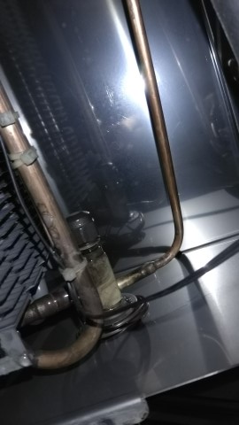 IMG_20200210_093348 (Mobile).jpg