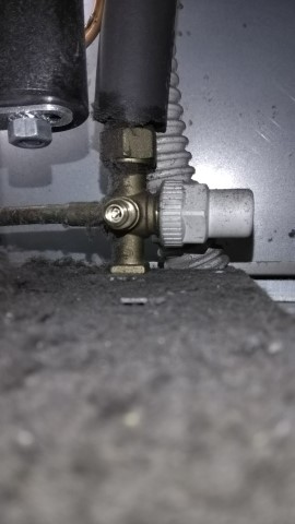 IMG_20200210_094138 (Mobile).jpg