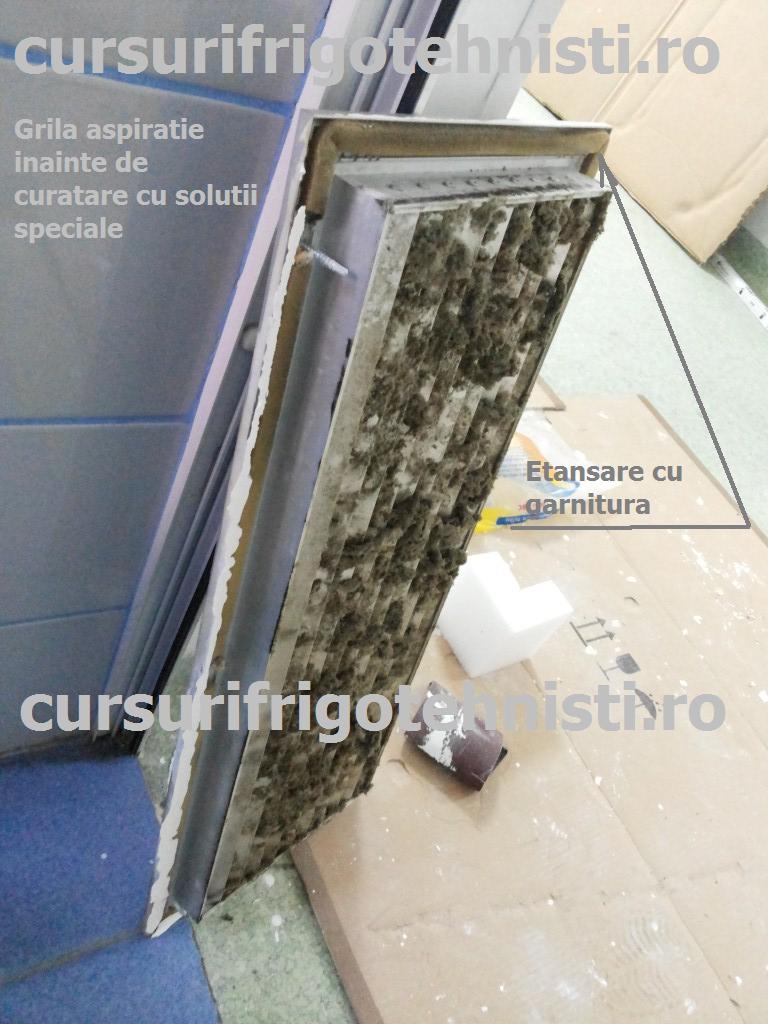 20150204_093019 (Custom).jpg