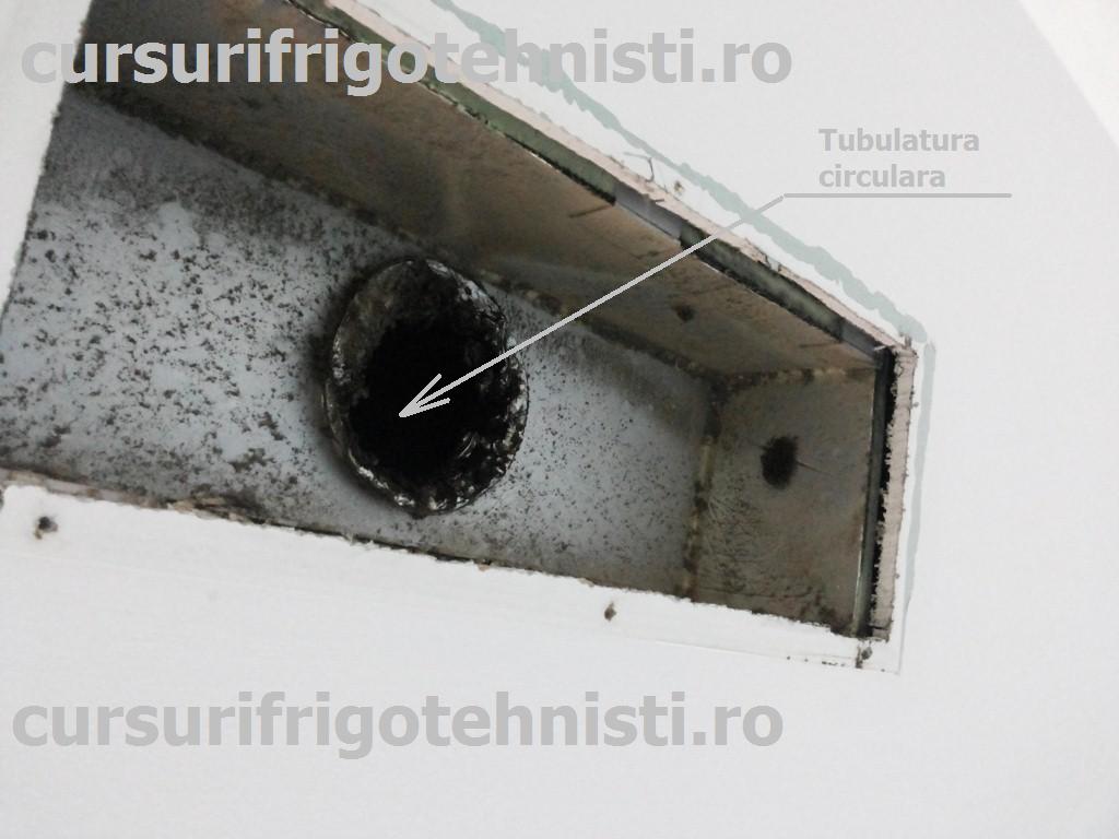 20150204_093041 (Custom).jpg