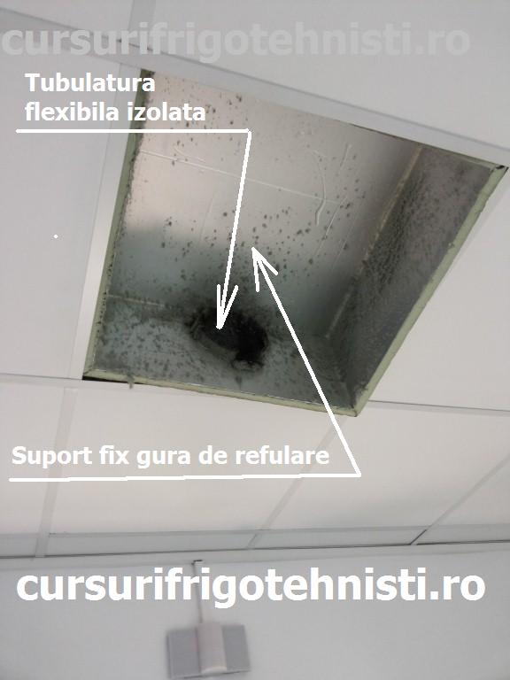 20150204_104159 (Custom).jpg