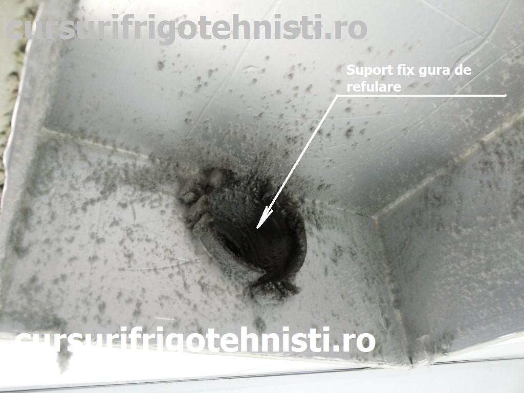 20150204_104235 (Custom).jpg