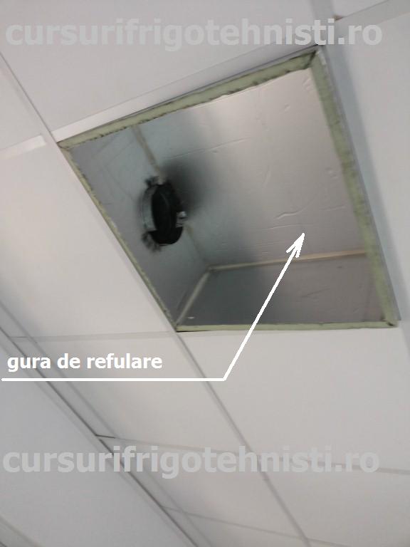 20150204_105203 (Custom).jpg