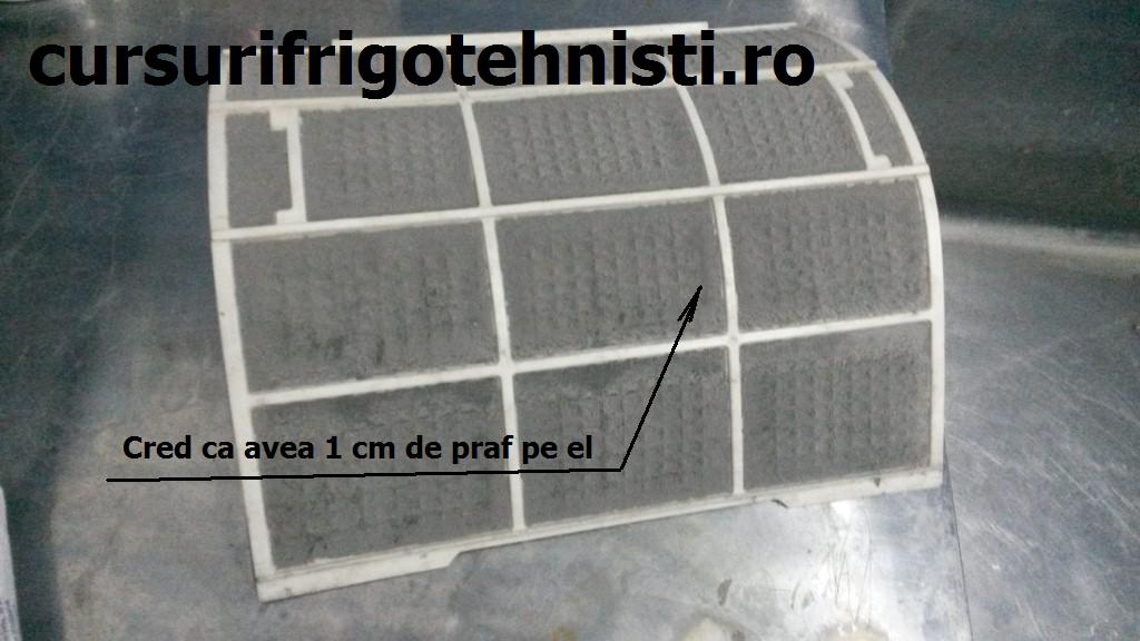 20150407_085555 (Custom).jpg