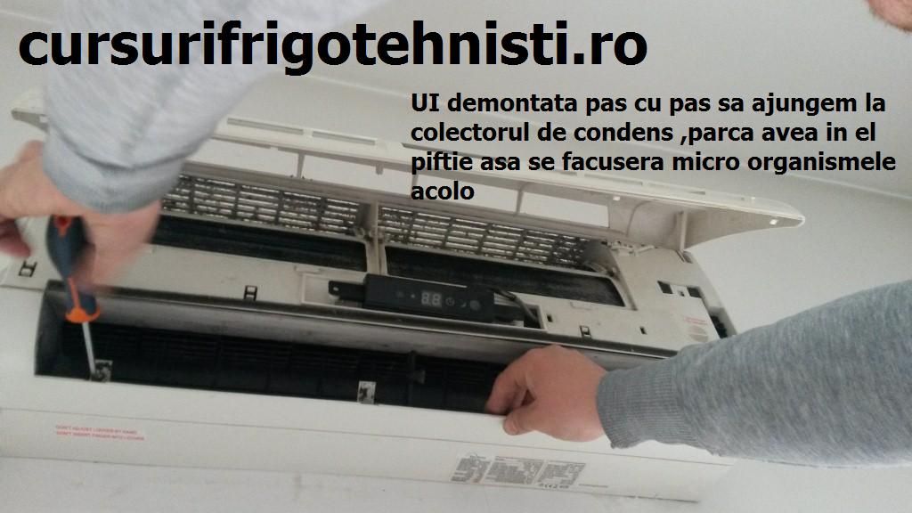 20150407_091237 (Custom).jpg