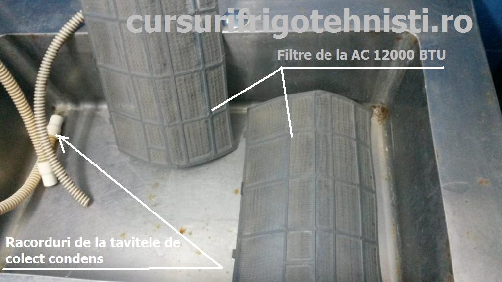 20150407_103037 (Custom).jpg