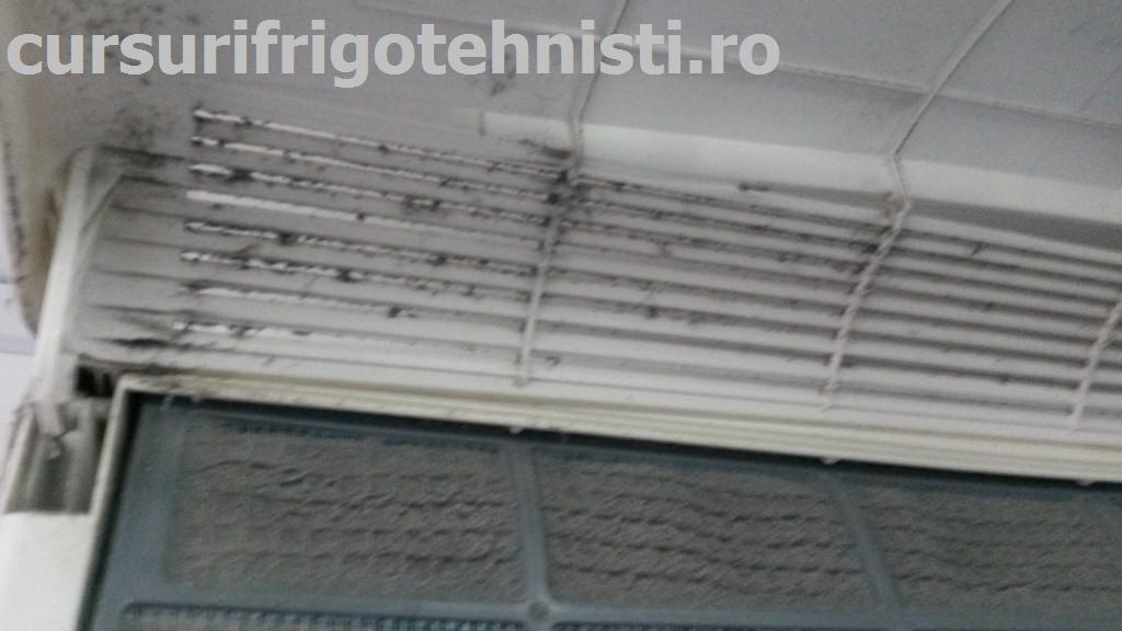 20150407_105759 (Custom).jpg