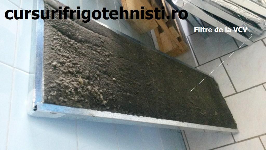 20150418_080402 (Custom).jpg