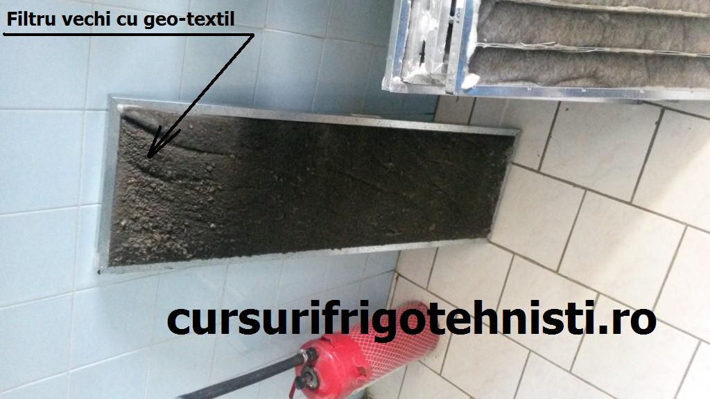 20150418_080413 (Custom).jpg