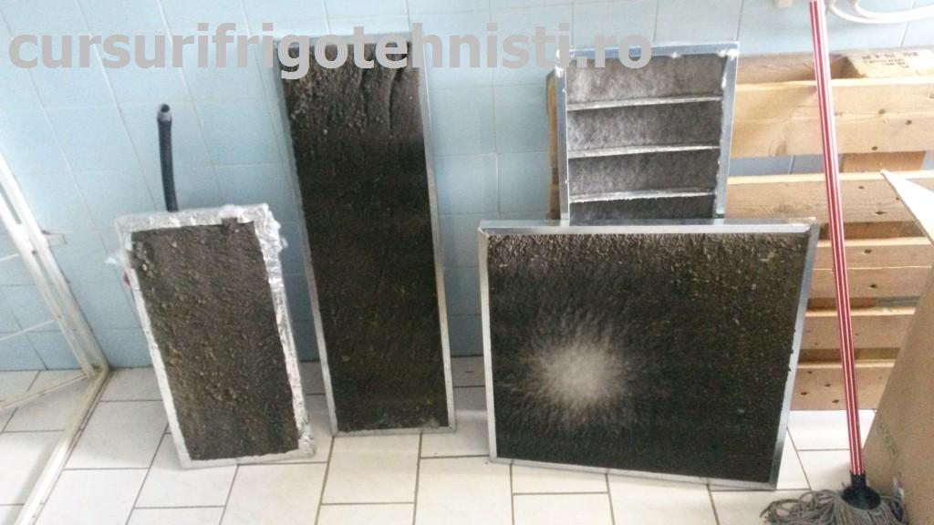 20150418_080444 (Custom).jpg