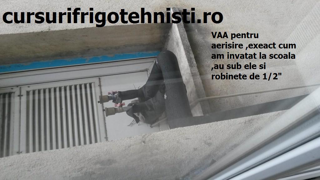 20150418_084601 (Custom).jpg