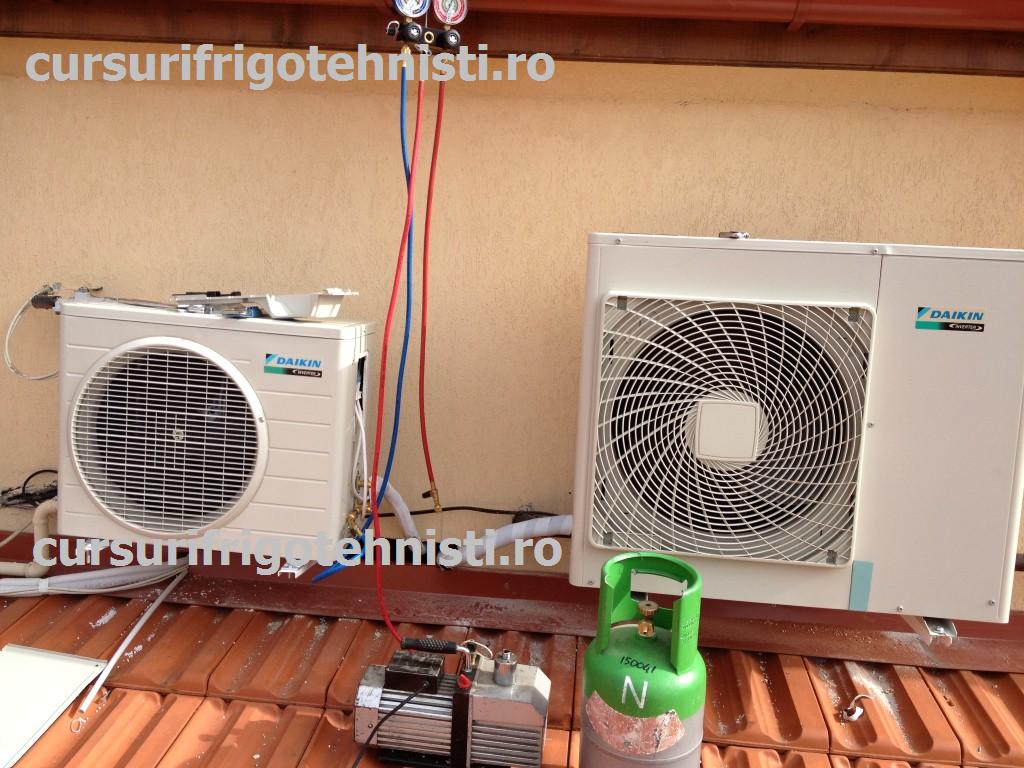 IMG_2980 (Custom).JPG