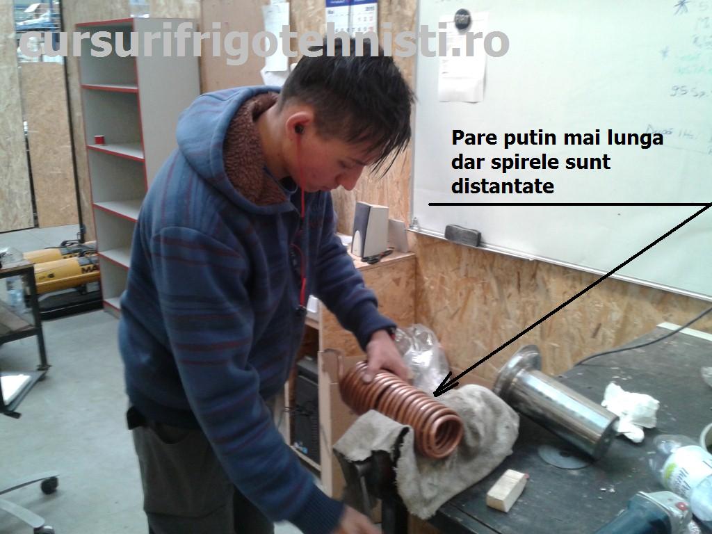 20150518_111623 (Custom).jpg