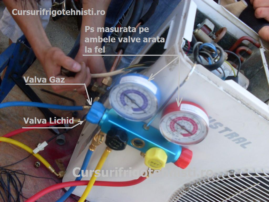 SDC11907 (Custom).JPG