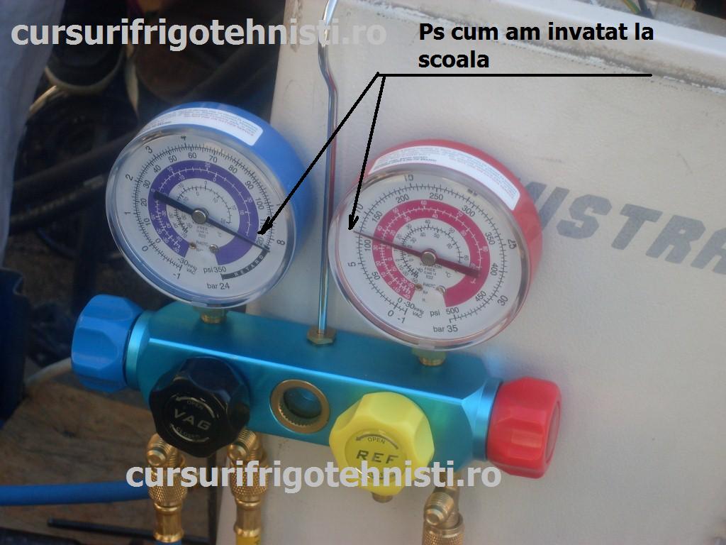 SDC11908 (Custom).JPG