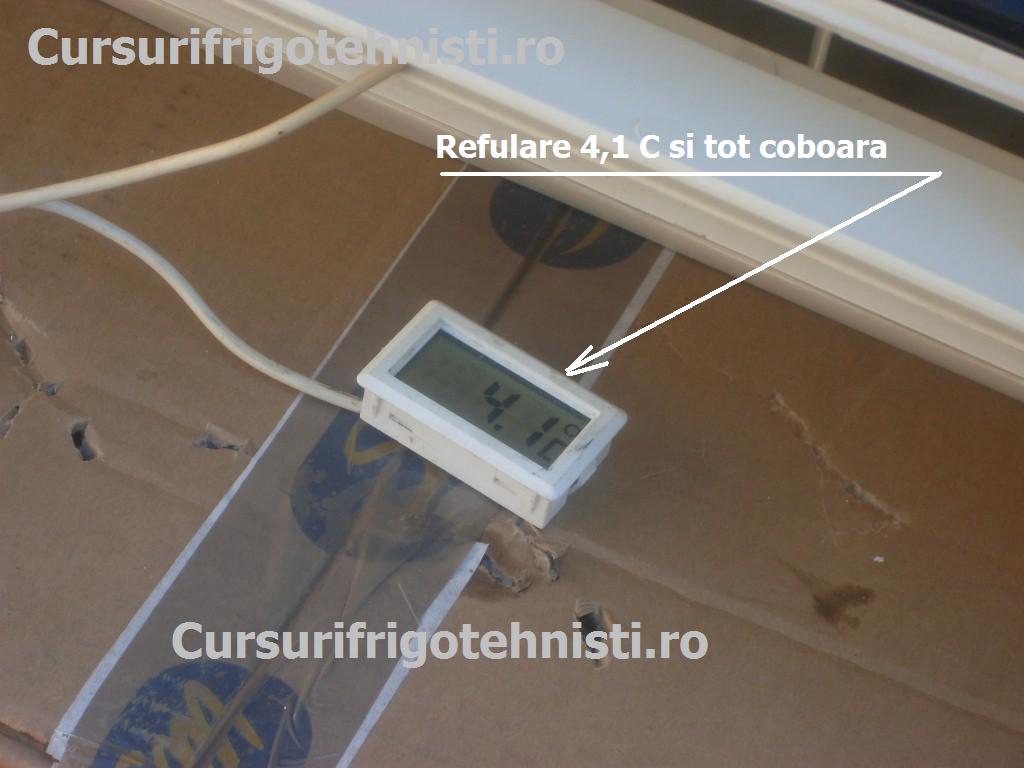 SDC11909 (Custom).JPG