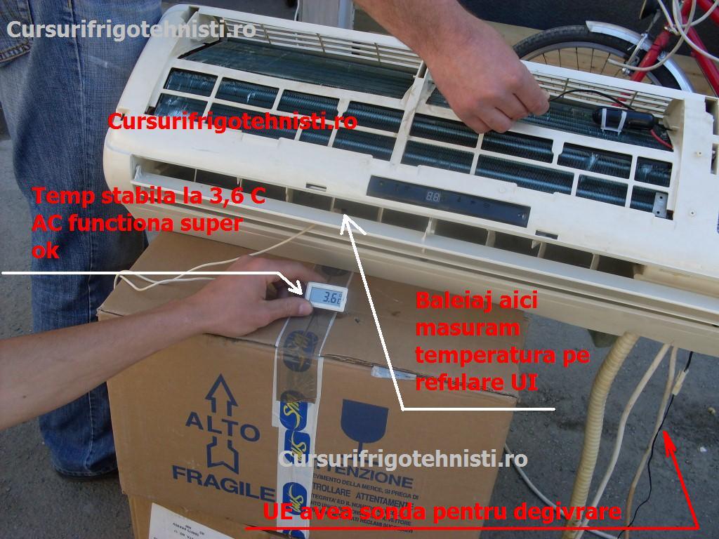 SDC11910 (Custom).JPG