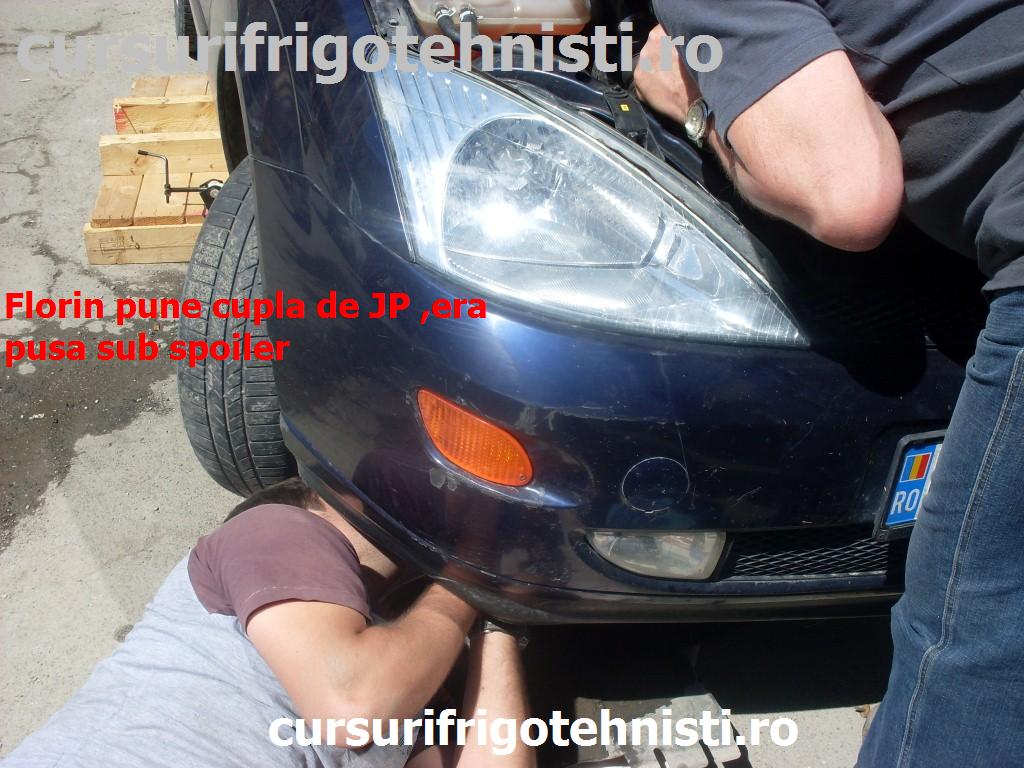 SDC11921 (Custom).JPG