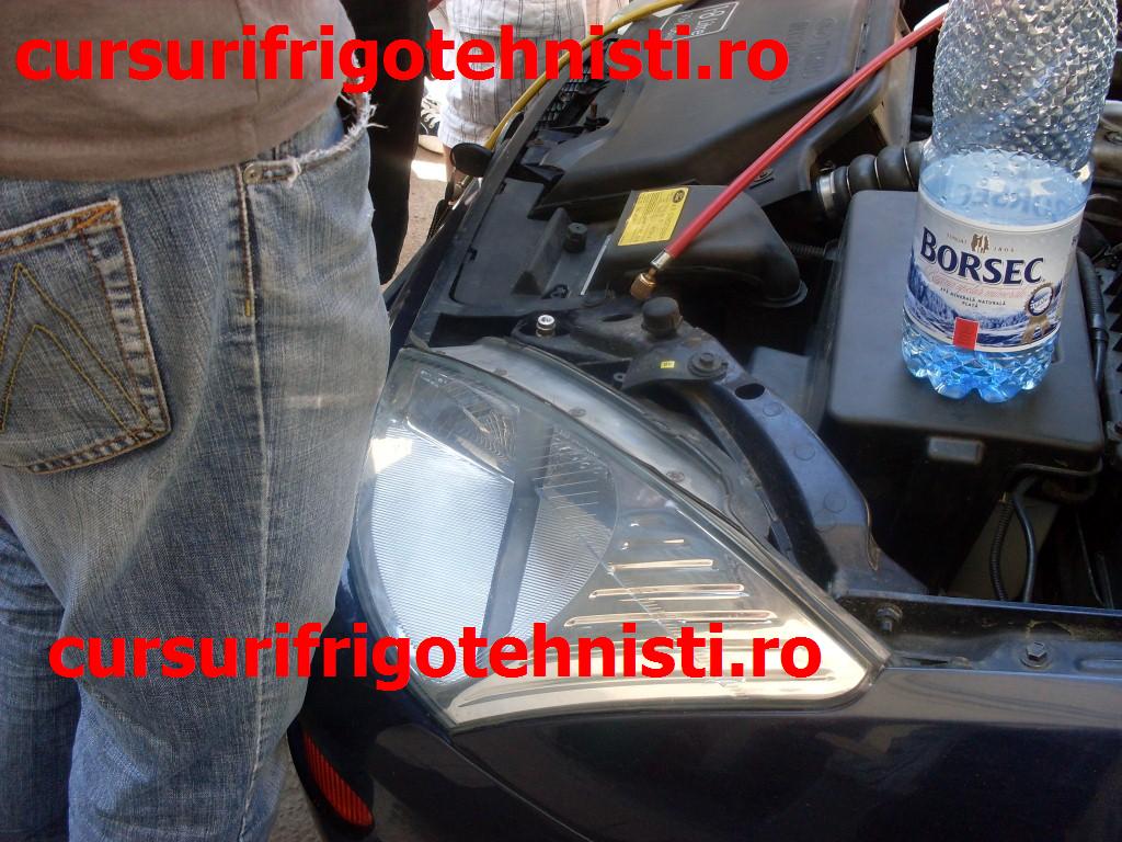 SDC11913 (Custom).JPG