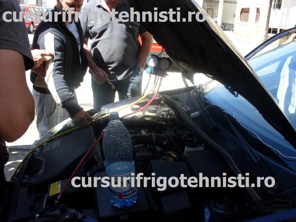 SDC11912 (Custom).JPG