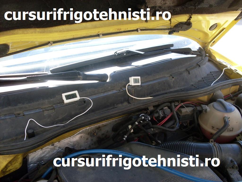 SDC11878 (Custom).JPG