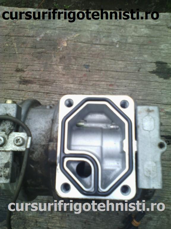 IMG_20150514_172852 (Custom).jpg