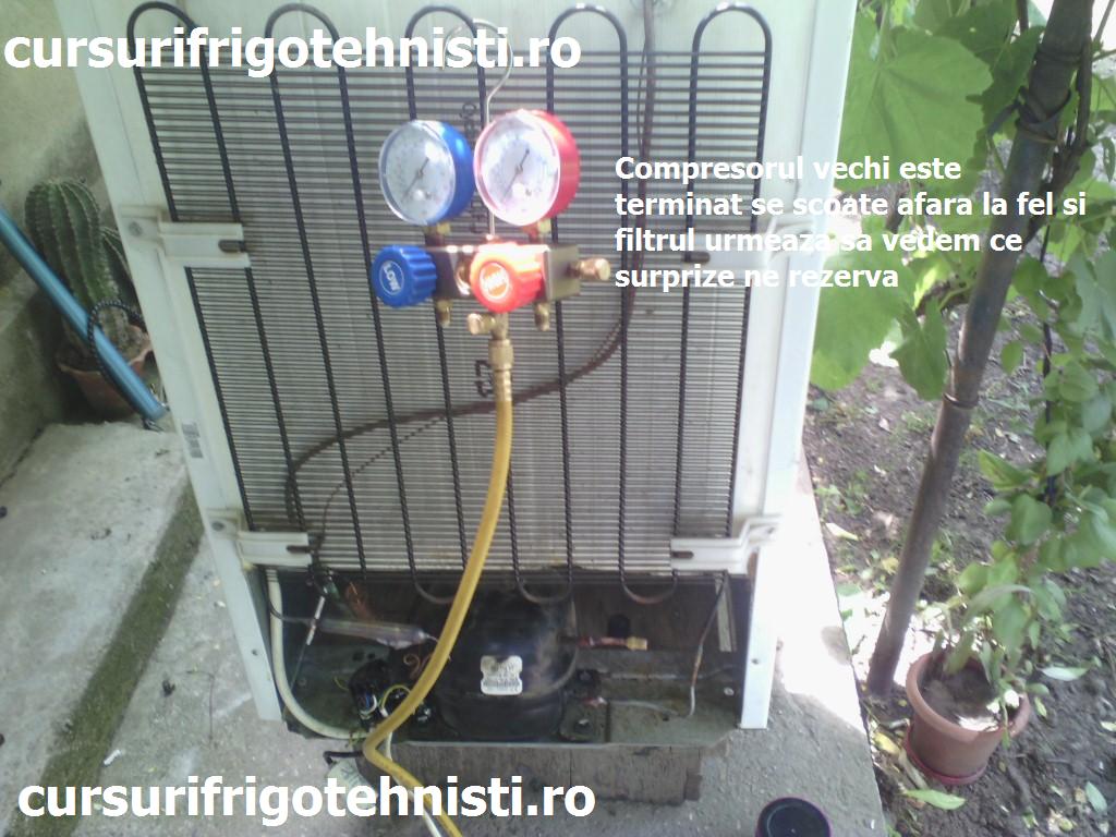 IMG_20150529_115052 (Custom).jpg