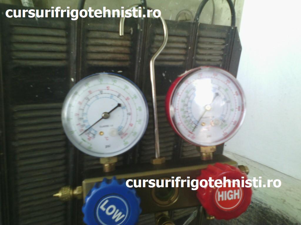 IMG_20150423_151228 (Custom).jpg