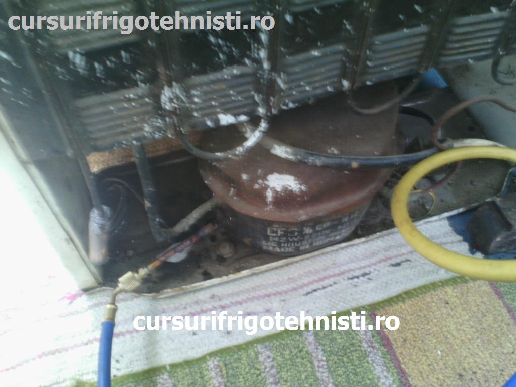 IMG_20150423_151236 (Custom).jpg