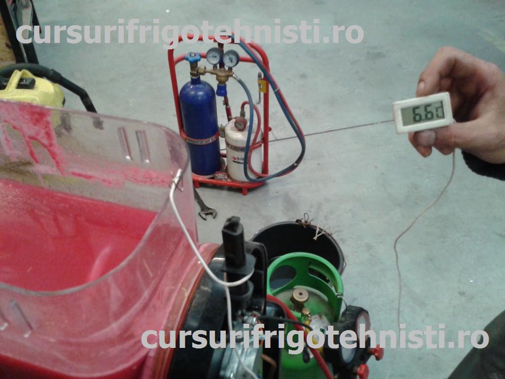 20150603_151719 (Custom).jpg